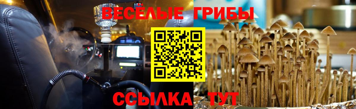 Галлюциногенные грибы Psilocybine cubensis  Вход с VPN  Галлюциногенные грибы прущие грибы  Карасук 